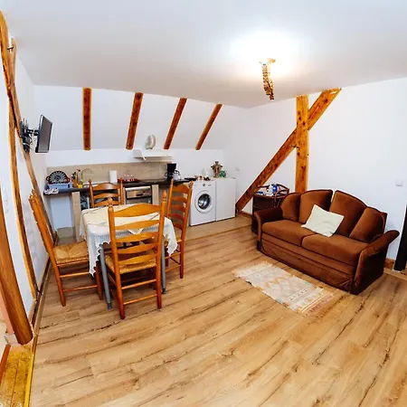 Casa Moldo Apartment Sighisoara
